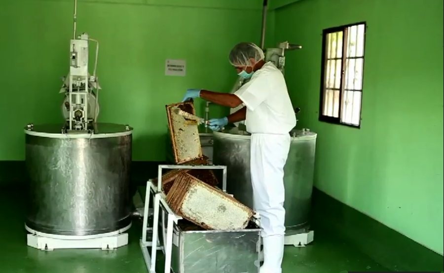 Sala de extracción de la planta de APICENTER en Abangares